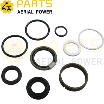 Seal Kit Cylinder Oil Seal 00003057 For DINGLI manufacturers