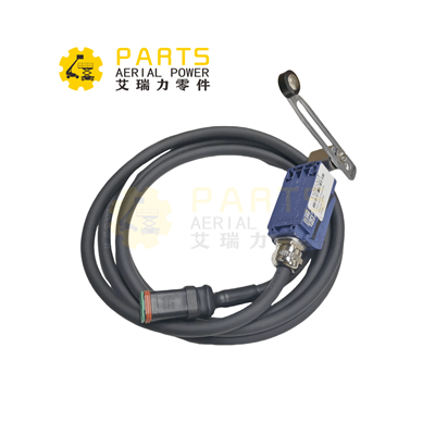 110910GT Switch Assy. Piiranguid