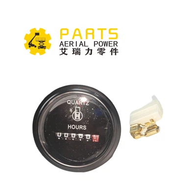 Tunnilugeja Dingli 00000698